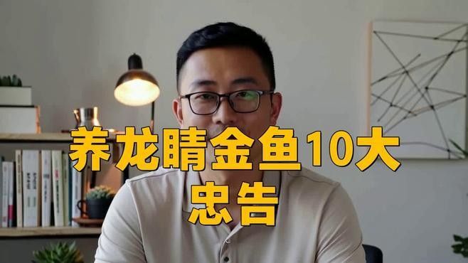 龍睛魚混養需要多大的魚缸？