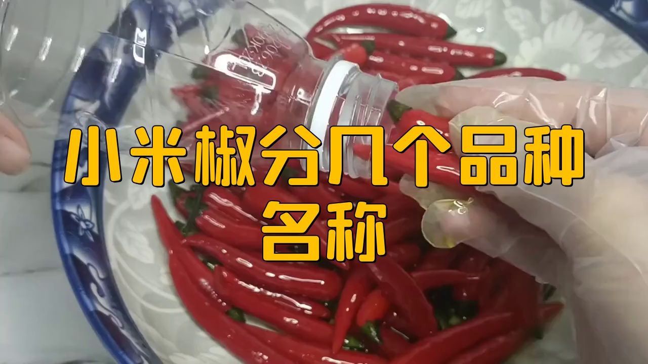 綠色的小米椒叫什么 綠色的小米椒叫什么 龍魚百科 第3張