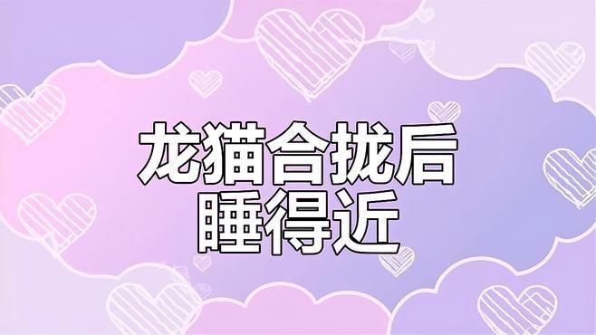 龍貓合籠后多久能適應？