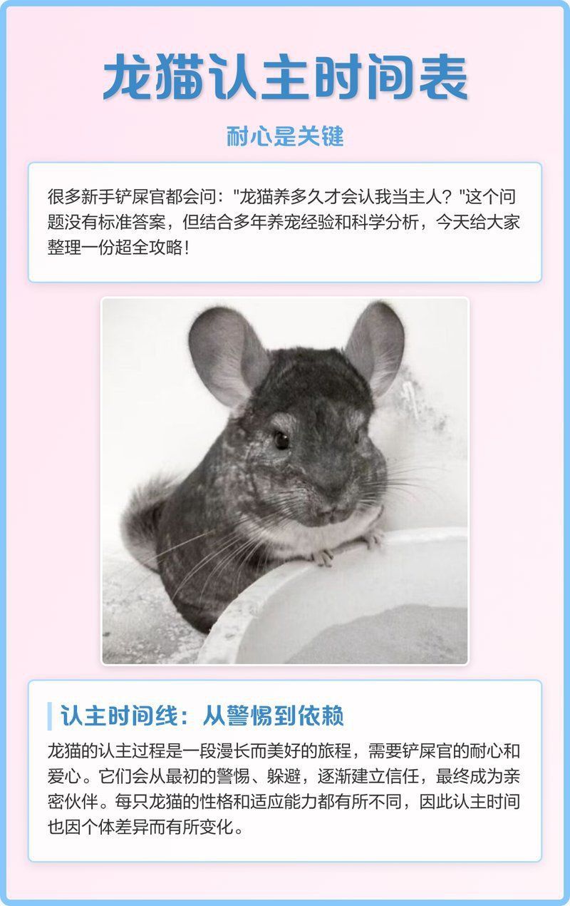 龍貓合籠后多久能適應？
