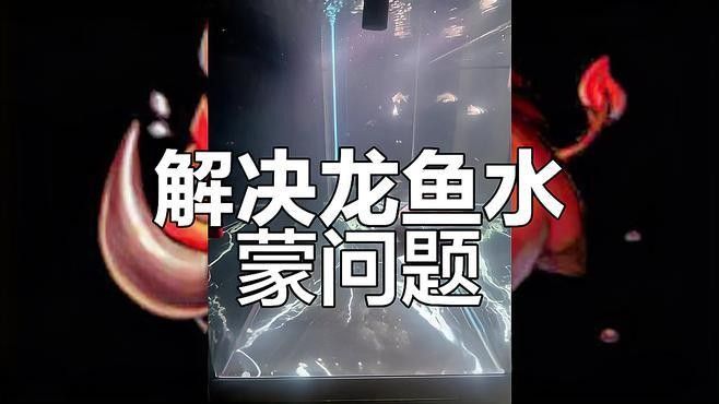 龍魚缸濾材怎樣擺放好看視頻