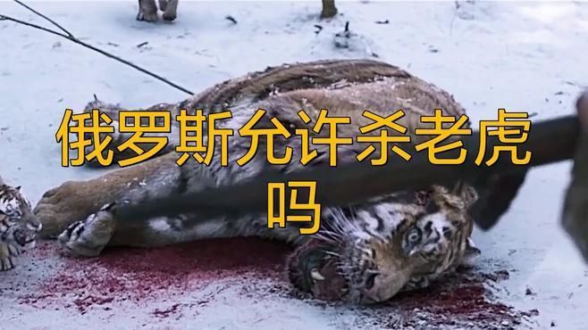 哪個國家殺老虎不犯法