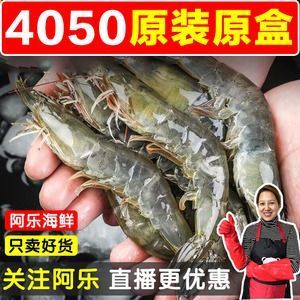 龍魚喂冷凍蝦行嗎怎么喂的：龍魚喂冷凍蝦怎么喂