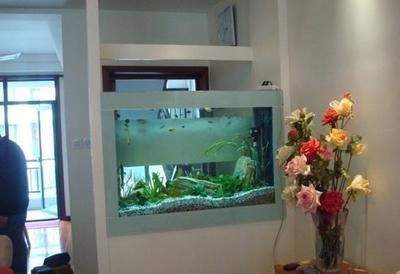 紅龍魚圖片高清頭像女生（紅龍魚圖片高清頭像女生可愛）