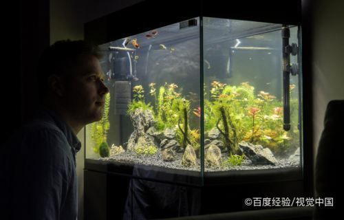 龍魚缸如何才能讓水質(zhì)更加清澈：龍魚缸水質(zhì)清澈是飼養(yǎng)者追求的目標，如何實現(xiàn)這一目標