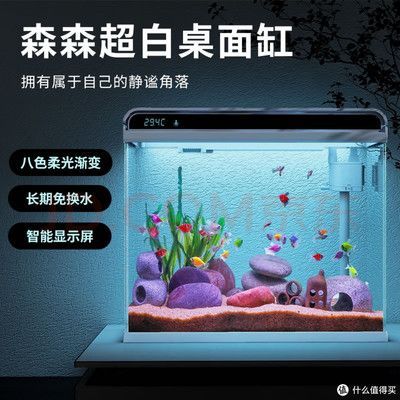 龍魚用什么燈光最好：龍魚燈光的選擇以及養(yǎng)殖技巧