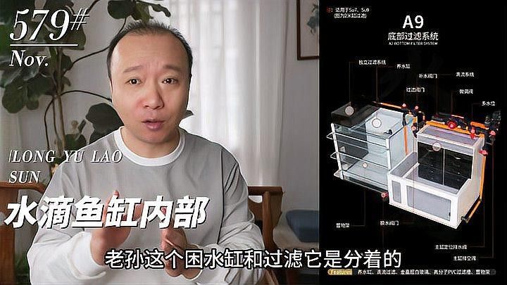 龍魚老孫前100號視頻在哪