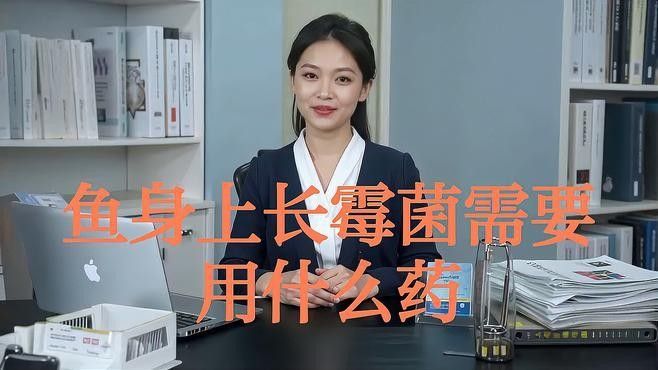 龍魚感染黑霉病后如何治療？