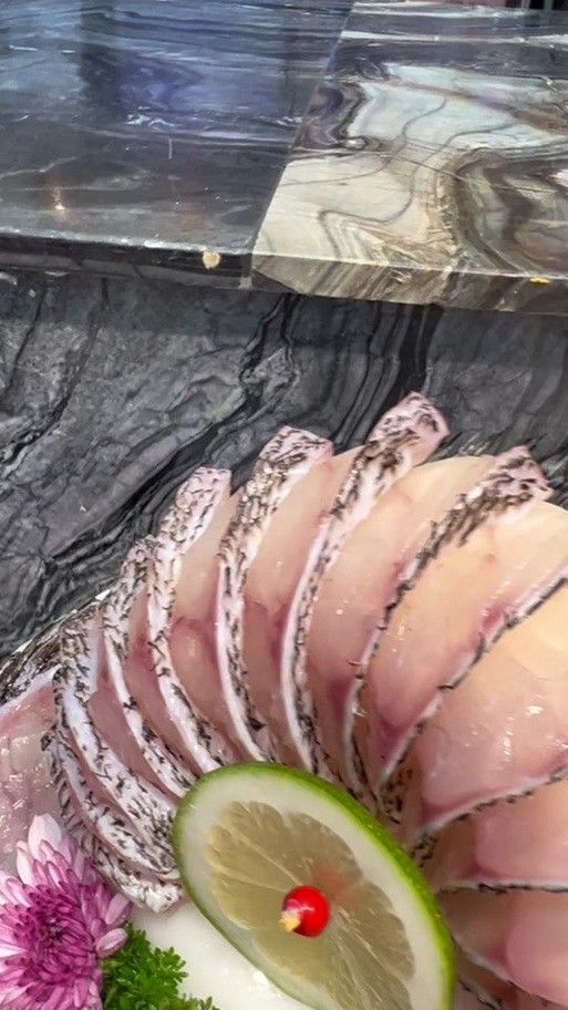 虎斑恐龍魚飼養方法視頻大全圖解