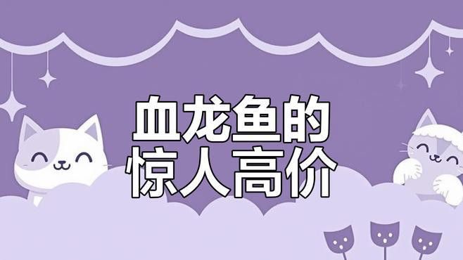 怎么挑選銀龍魚苗