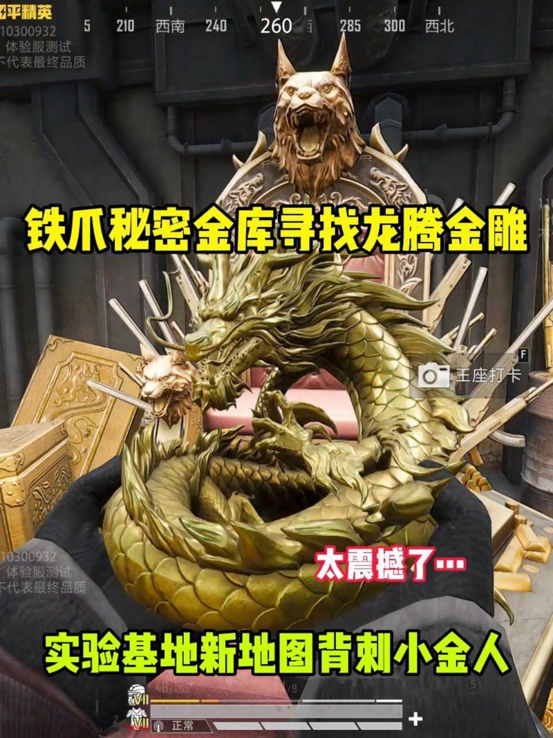 龍騰金雕100個圖片