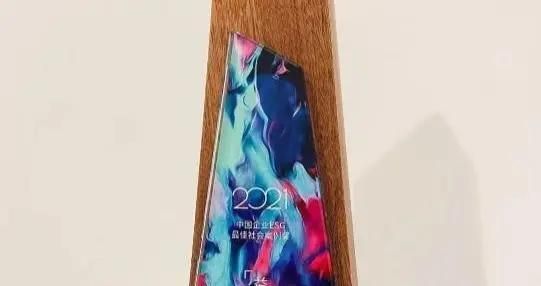 金龍魚的企業文化（金龍魚如何實現品質管理）