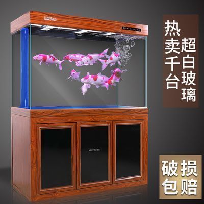 紅龍魚燈啥顏色好看點（紅龍魚燈光顏色的選擇應考慮整體裝飾風格和個人喜好）