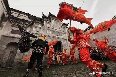 龍魚和薩伊藍能混養嗎：龍魚和薩伊藍可以混養嗎