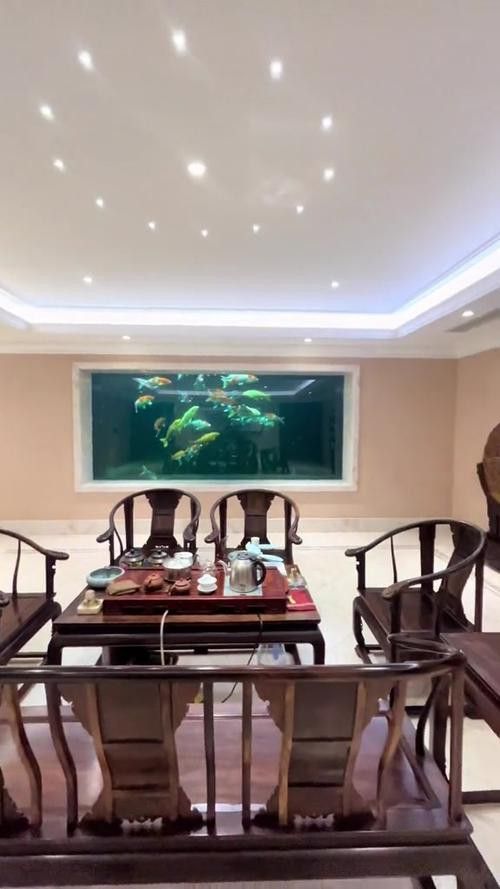 養銀龍魚需要注意什么問題呢