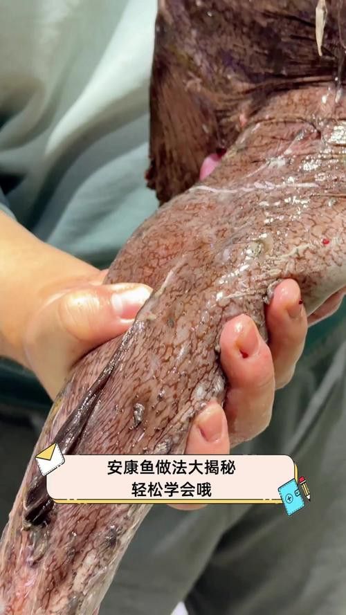 安康龍魚專賣店