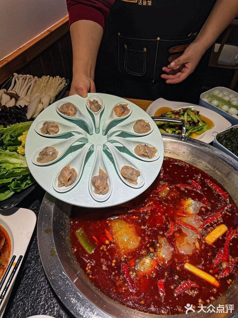 安康龍魚專賣店