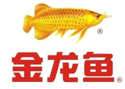 金龍魚還是紅龍魚好養活