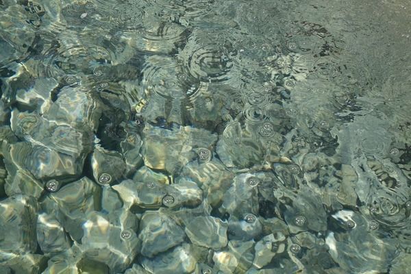 龍魚蒙眼多久能好：如何判斷龍魚蒙眼的嚴(yán)重程度