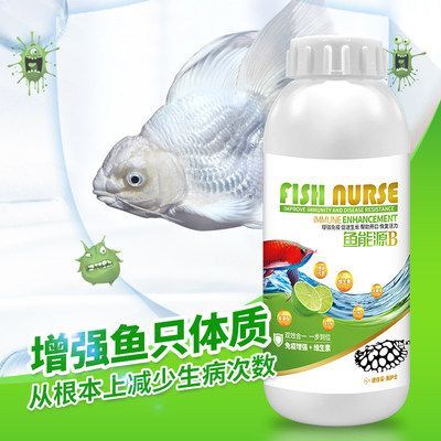 速倍妥飼料對龍魚色澤影響：速倍妥雷龍魚飼料對龍魚色澤的影響