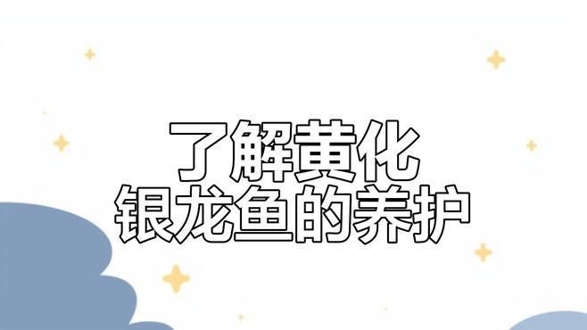 銀龍魚鱗片上有斑點嗎
