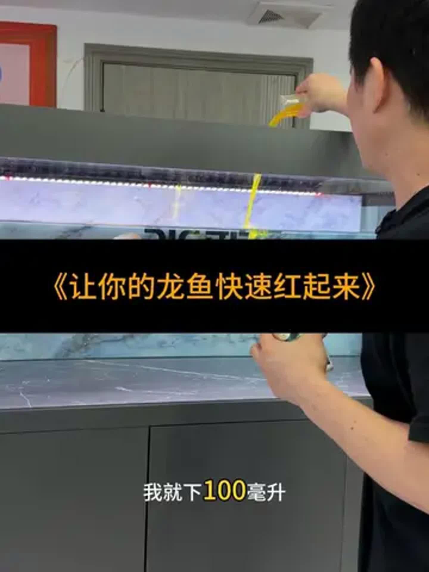 深海紅龍魚養殖需要多大的魚缸？