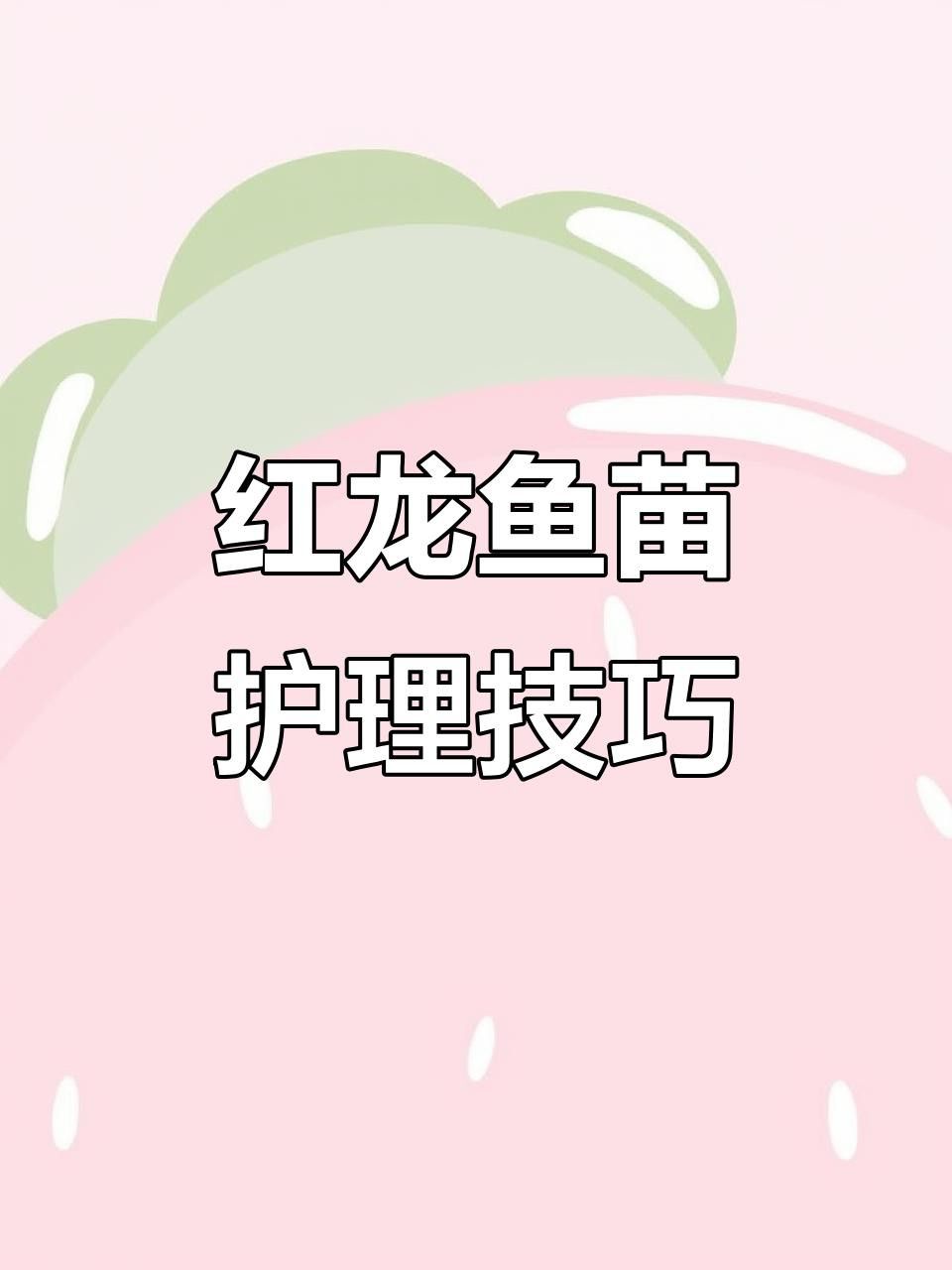 深海紅龍魚養殖需要多大的魚缸？