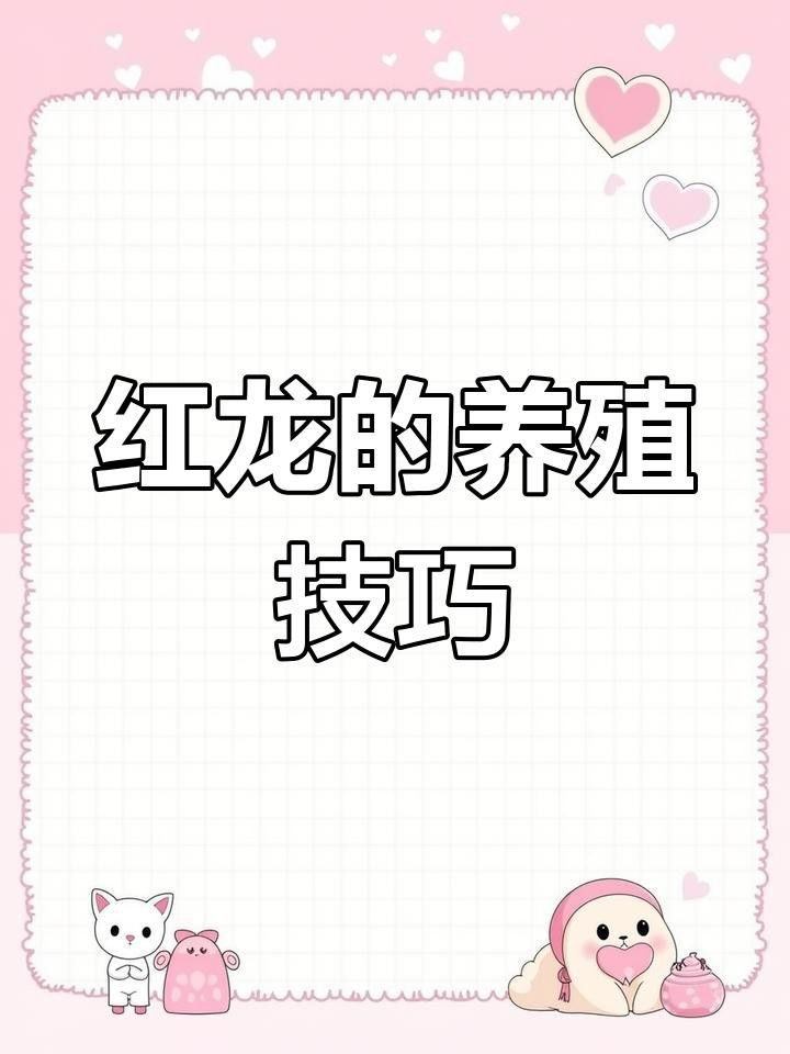 深海紅龍魚養殖需要多大的魚缸？