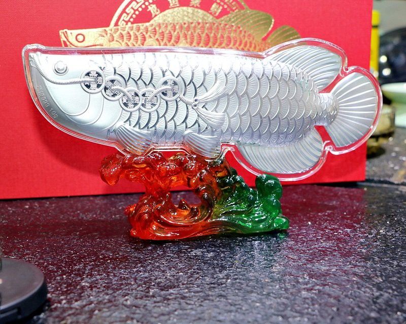 白金龍魚為什么被視為無價之寶？