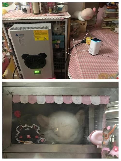 龍貓在不同季節如何調節溫度？