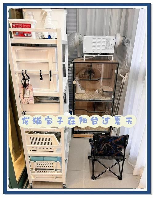 龍貓在不同季節如何調節溫度？