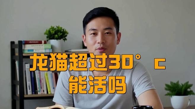 龍貓在不同季節如何調節溫度？