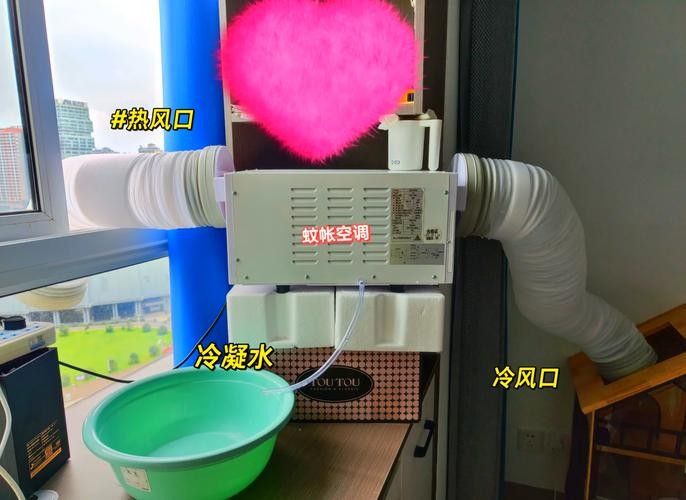 龍貓在不同季節如何調節溫度？