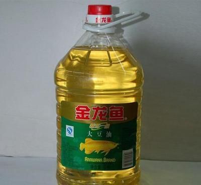 金龍魚值不值錢，金龍魚是否值錢需要從多個角度看待