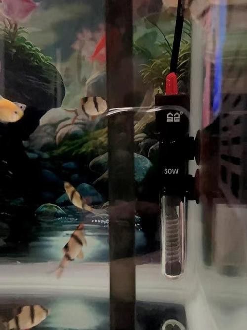 使用什么品牌的加熱棒比較好？