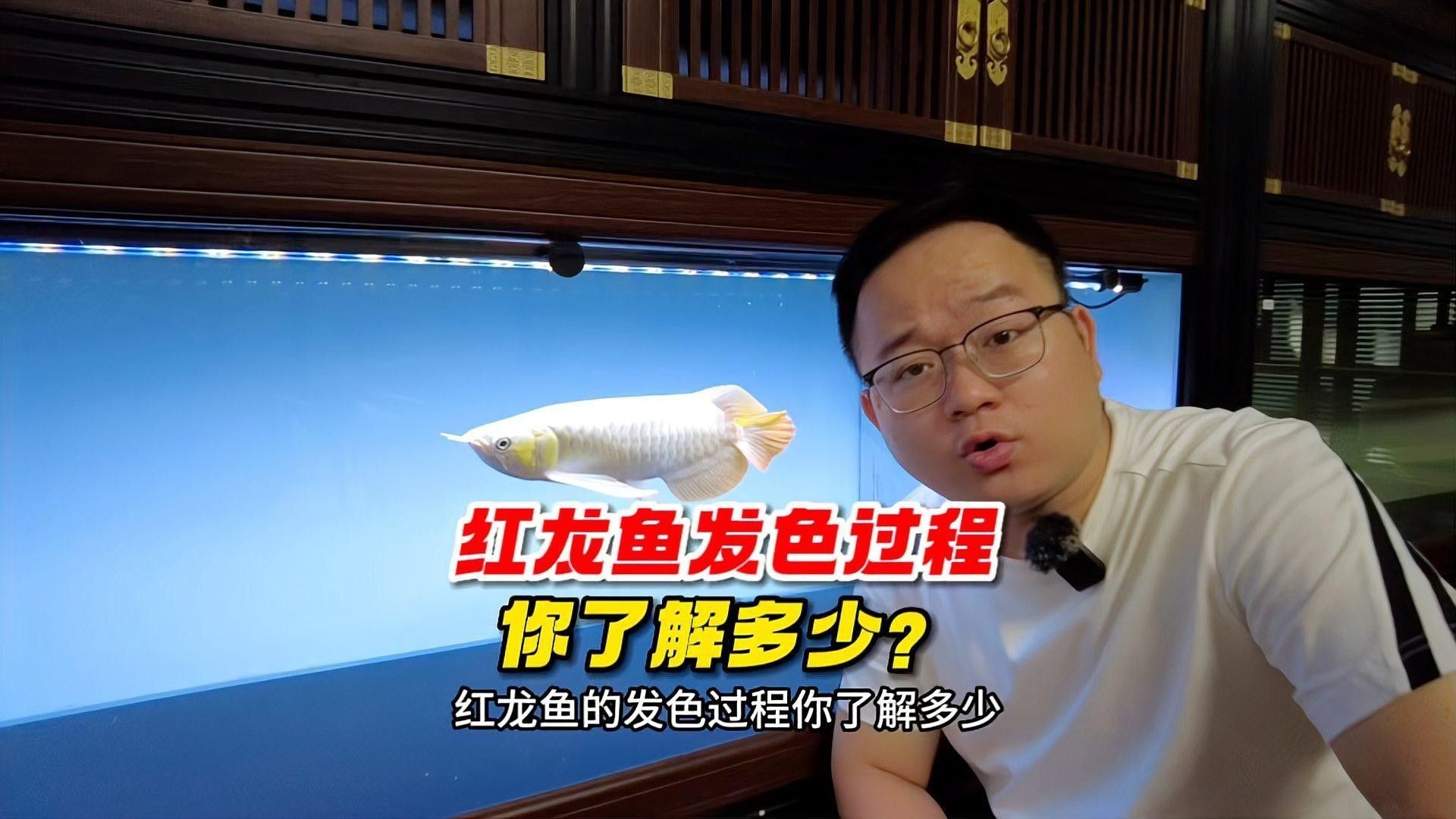 如何加速橙紅龍魚發(fā)色？