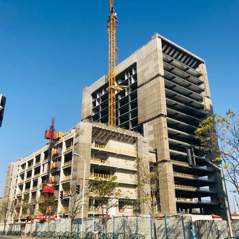 金龍魚大廈的設計理念是什么？