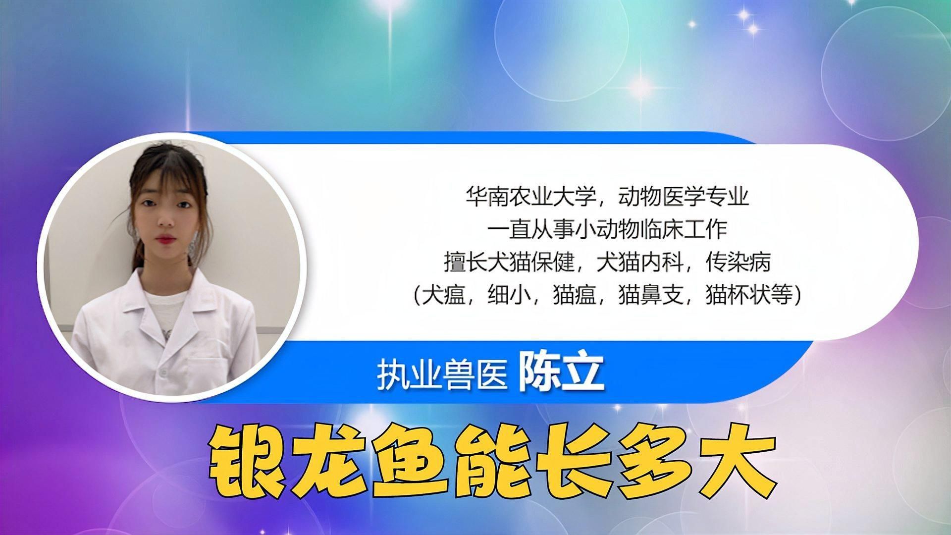 龍魚要怎么養才能活的久：龍魚要怎么養才能活，全面飼養指南