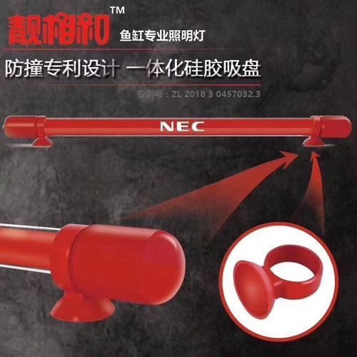 龍魚寄生蟲有哪些種類：龍魚寄生蟲有哪些特征