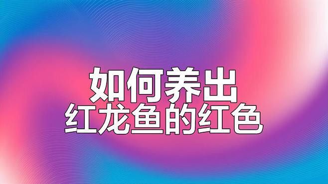 紅龍魚吃什么利于發(fā)色