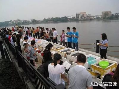 龍魚吃了清道夫會死嗎：龍魚吃了清道夫會導致死亡嗎，龍魚吃了清道夫會死嗎
