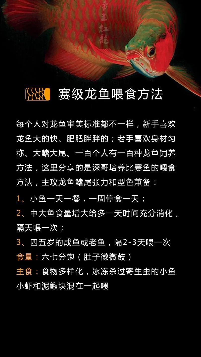 黃金龍魚吃什么食物