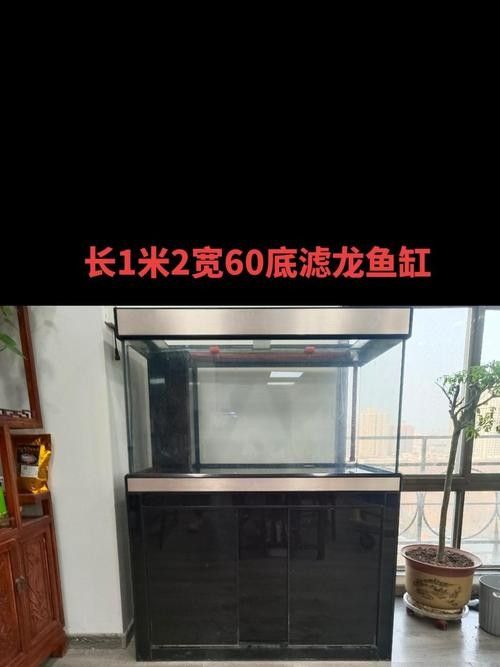 龍魚養殖條件和方法圖片