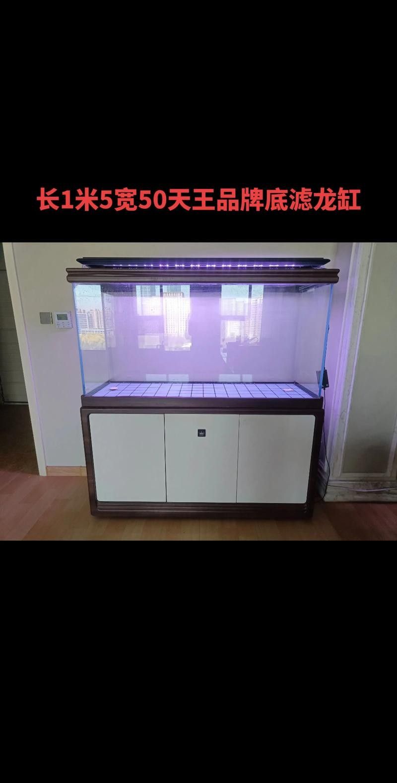 龍魚養殖條件和方法圖片