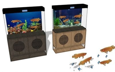 50厘米銀龍魚需要多大魚缸（銀龍魚養(yǎng)大需要多大的魚缸,銀龍魚魚缸多大合適）