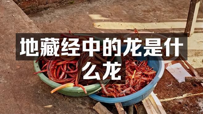 還有哪些宗教中龍具有特殊意義？