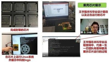 龍魚身上的芯片怎么驗證：如何辨別龍魚芯片真偽