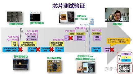 龍魚身上的芯片怎么驗證：如何辨別龍魚芯片真偽