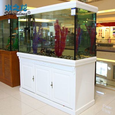 龍魚缸要多大的水：關于龍魚缸水位的問題