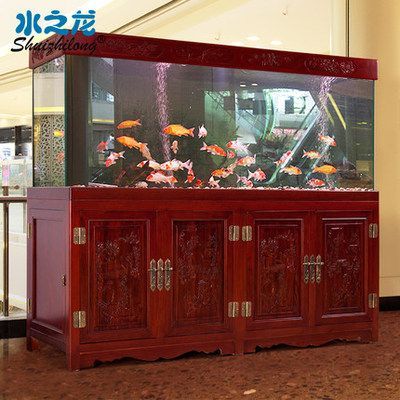 龍魚缸要多大的水：關于龍魚缸水位的問題